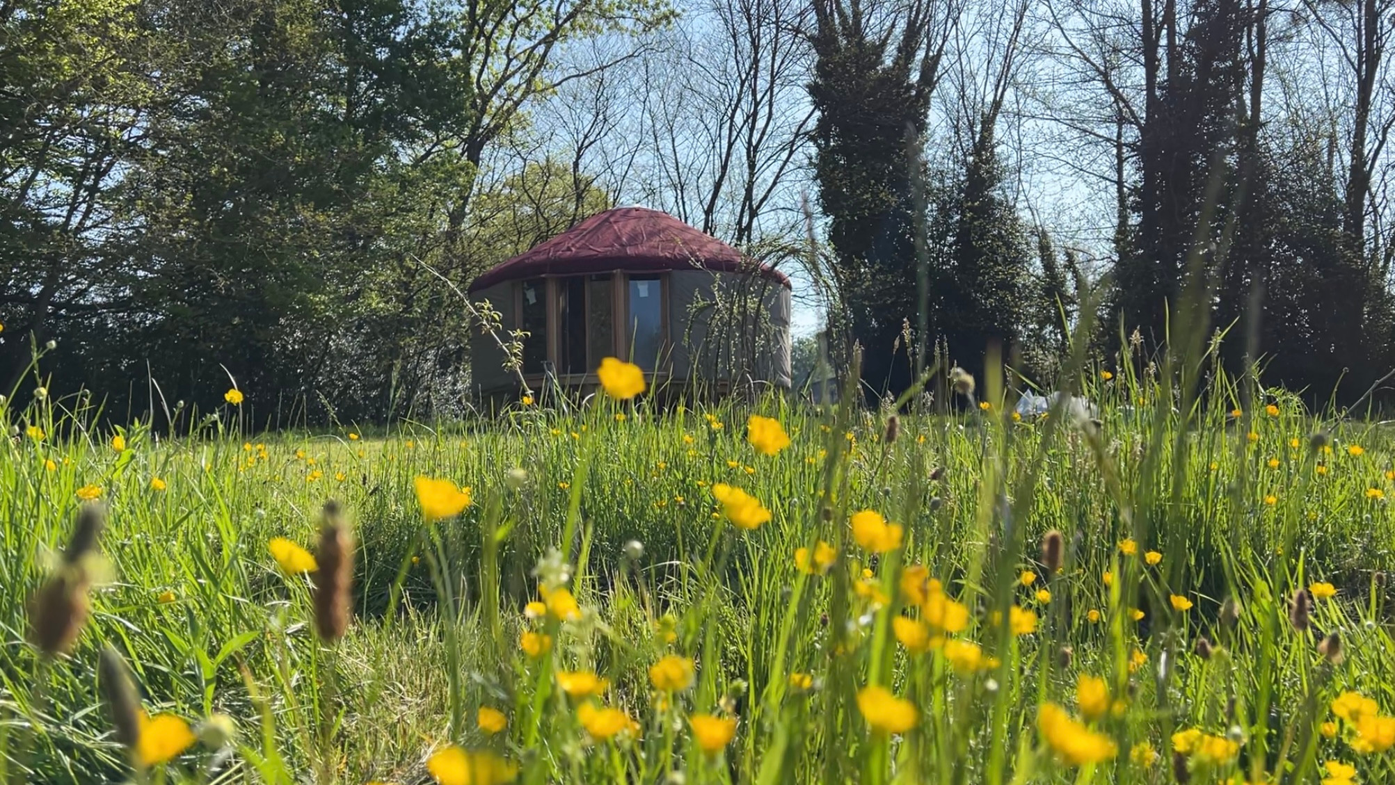 La Main Sauvage - Yourte en Corrèze