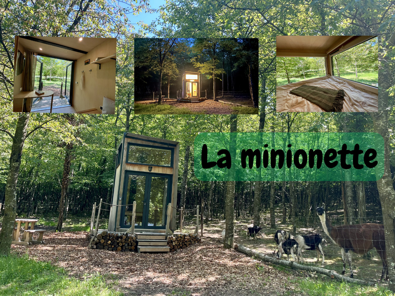 orderedImageAlt_accommodation_default