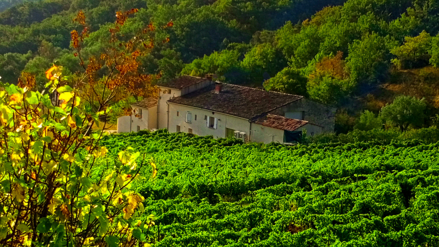 GreenGo location vacances écoresponsables