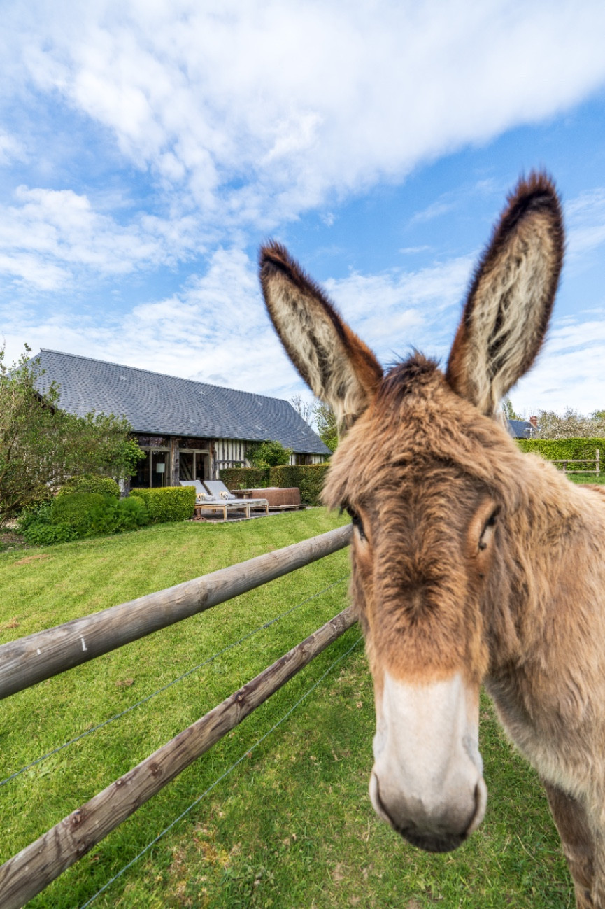 GreenGo location vacances écoresponsables