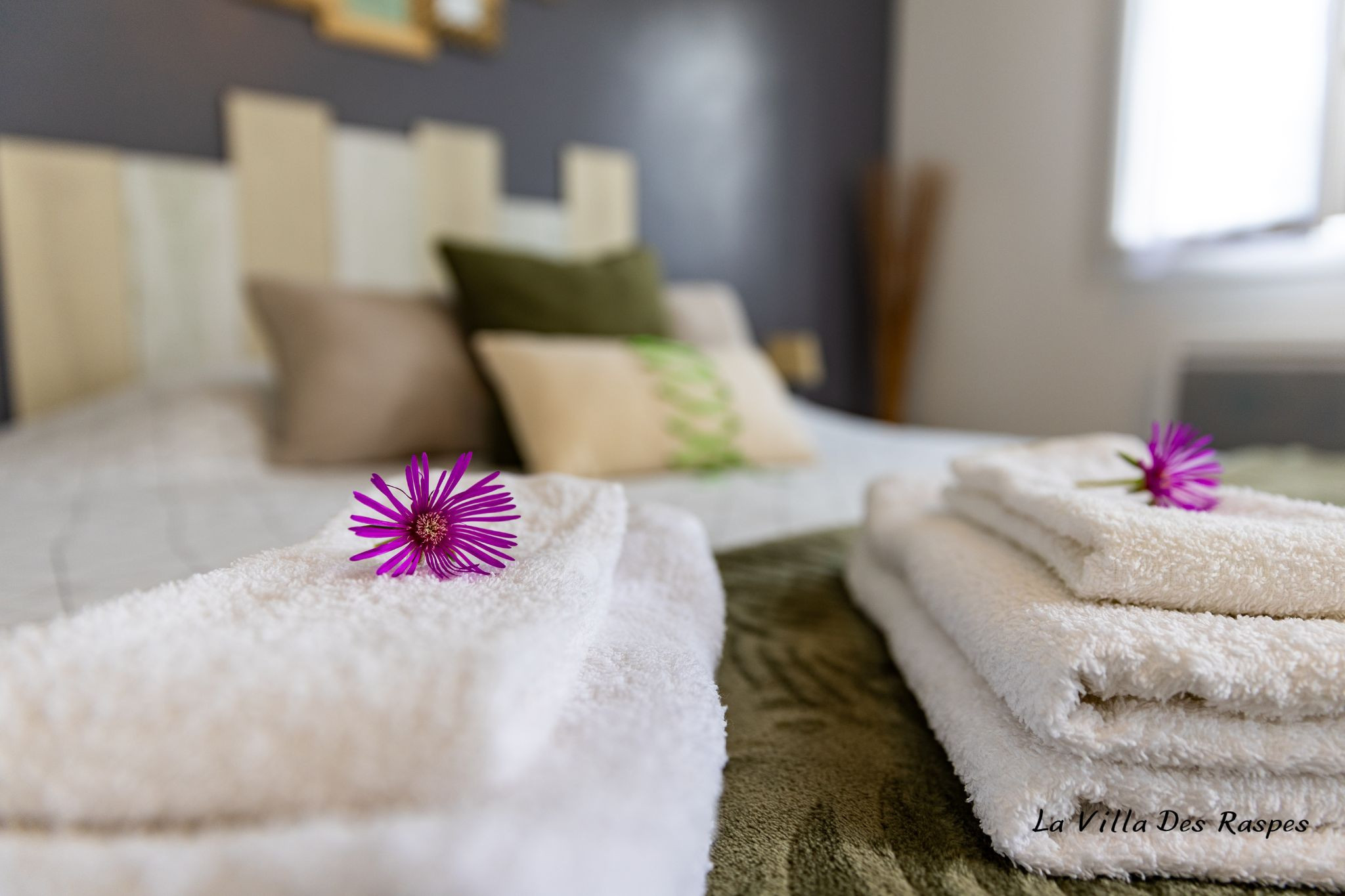orderedImageAlt_accommodation_default