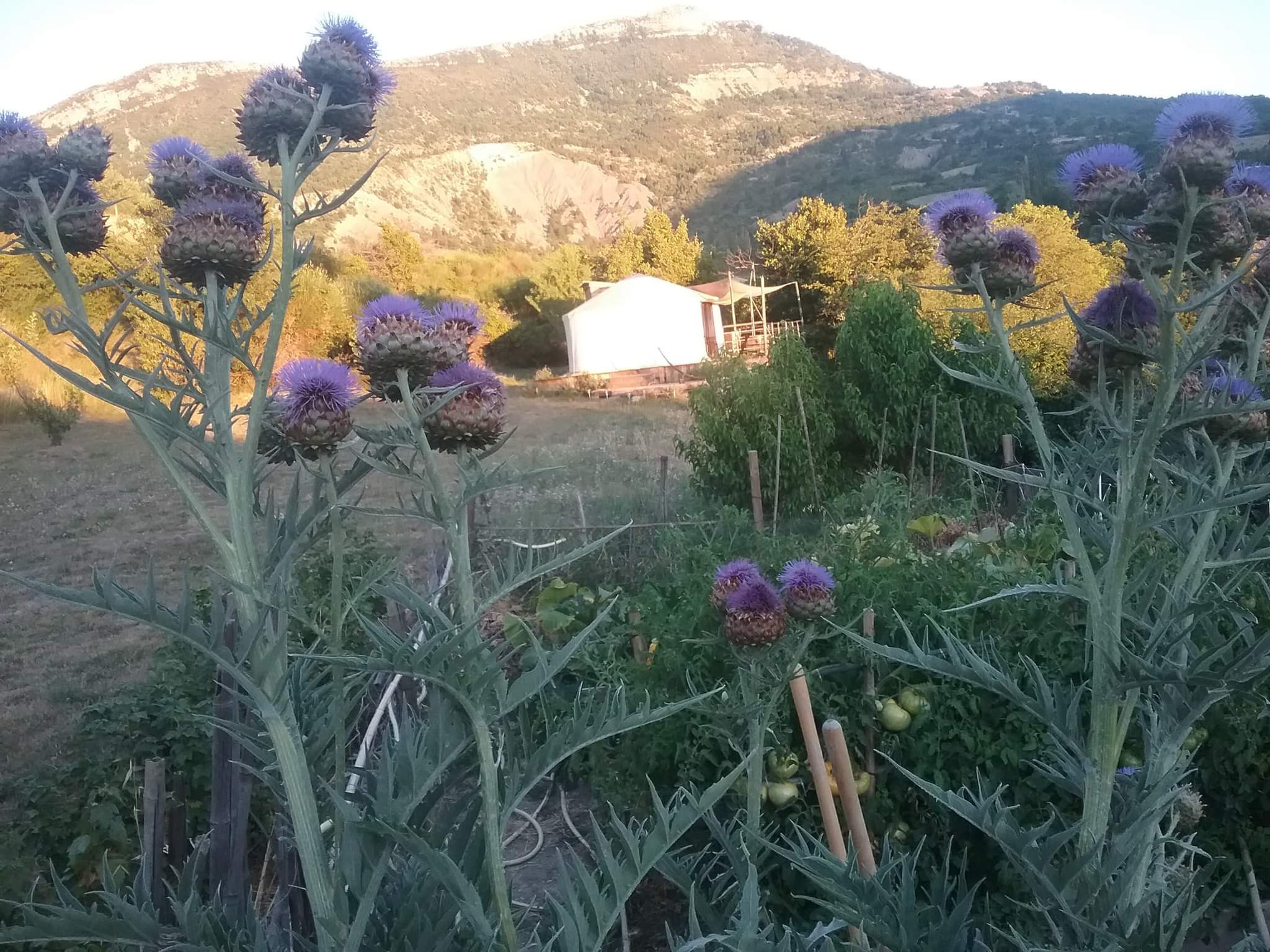 GreenGo Logement insolite Auvergne-Rhône-Alpes Évasion