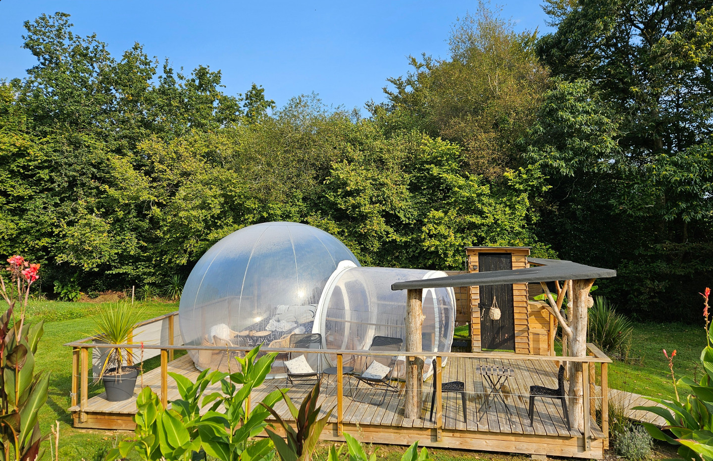 La bulle de Clotilde