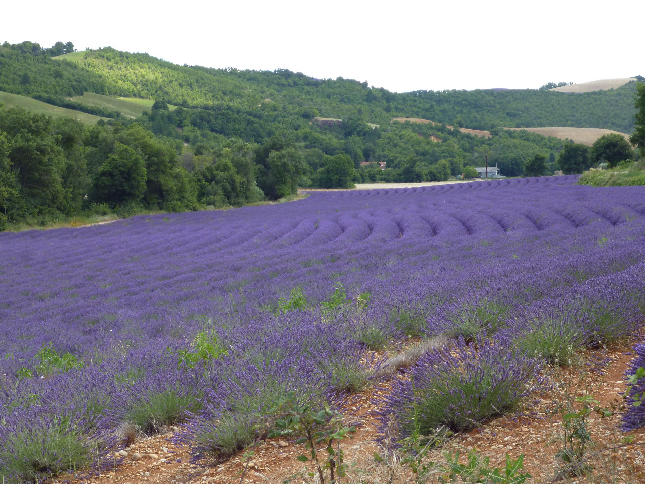 GreenGo La Bergerie en Provence