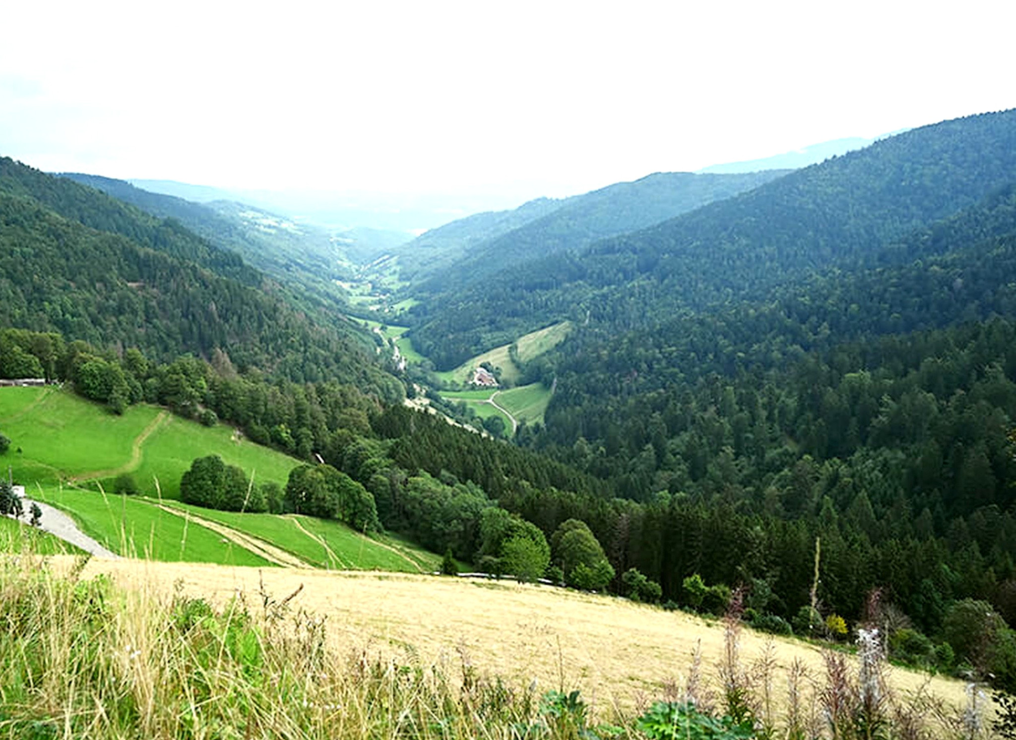 GreenGo L'Emeraude