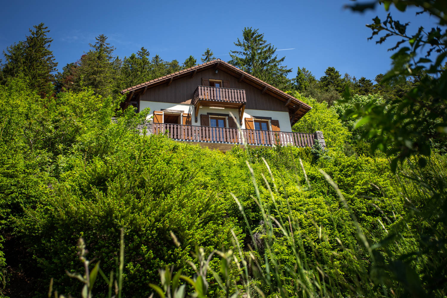 GreenGo Chalet Bellevue