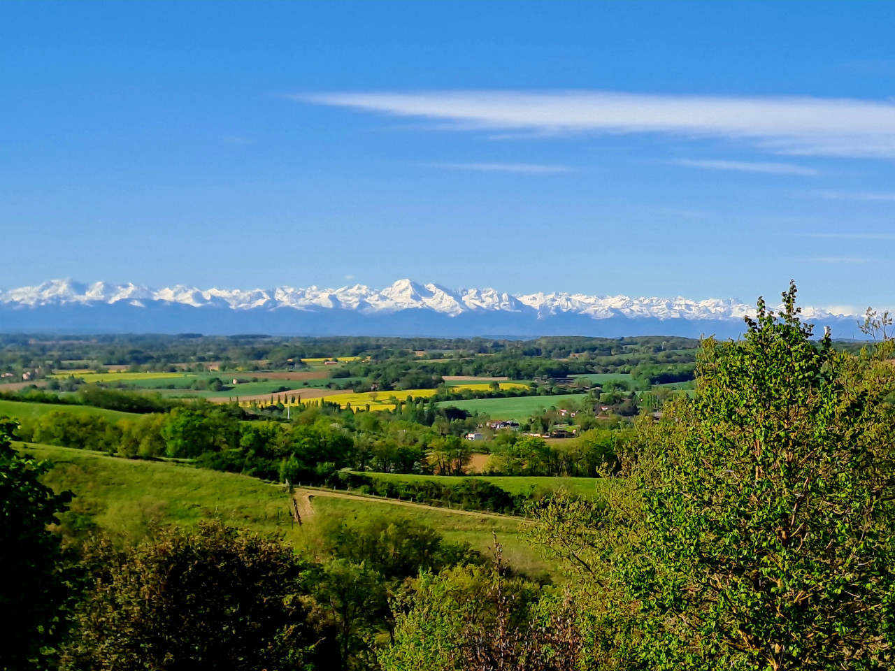 GreenGo location vacances écoresponsables