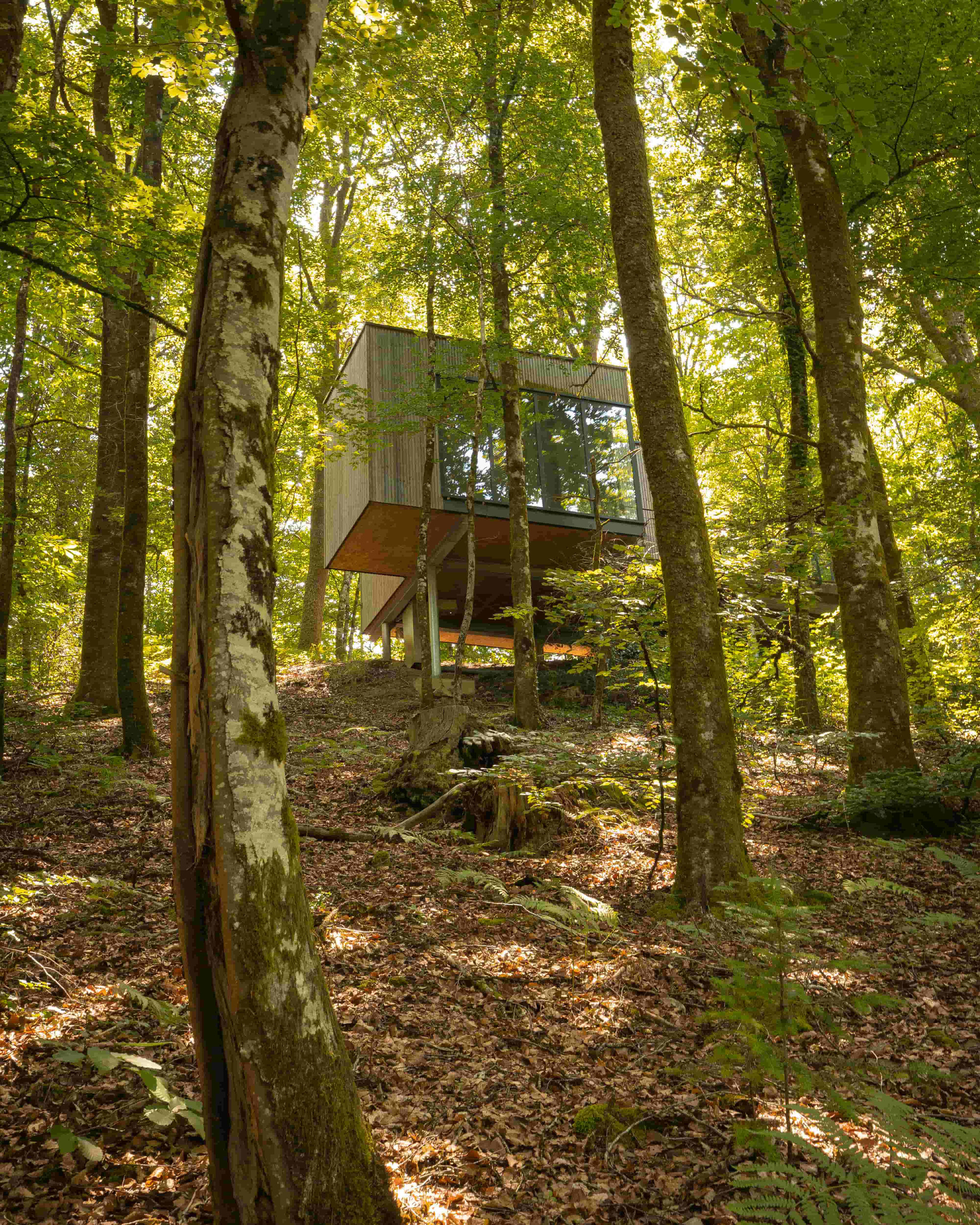 orderedImageAlt_accommodation_default