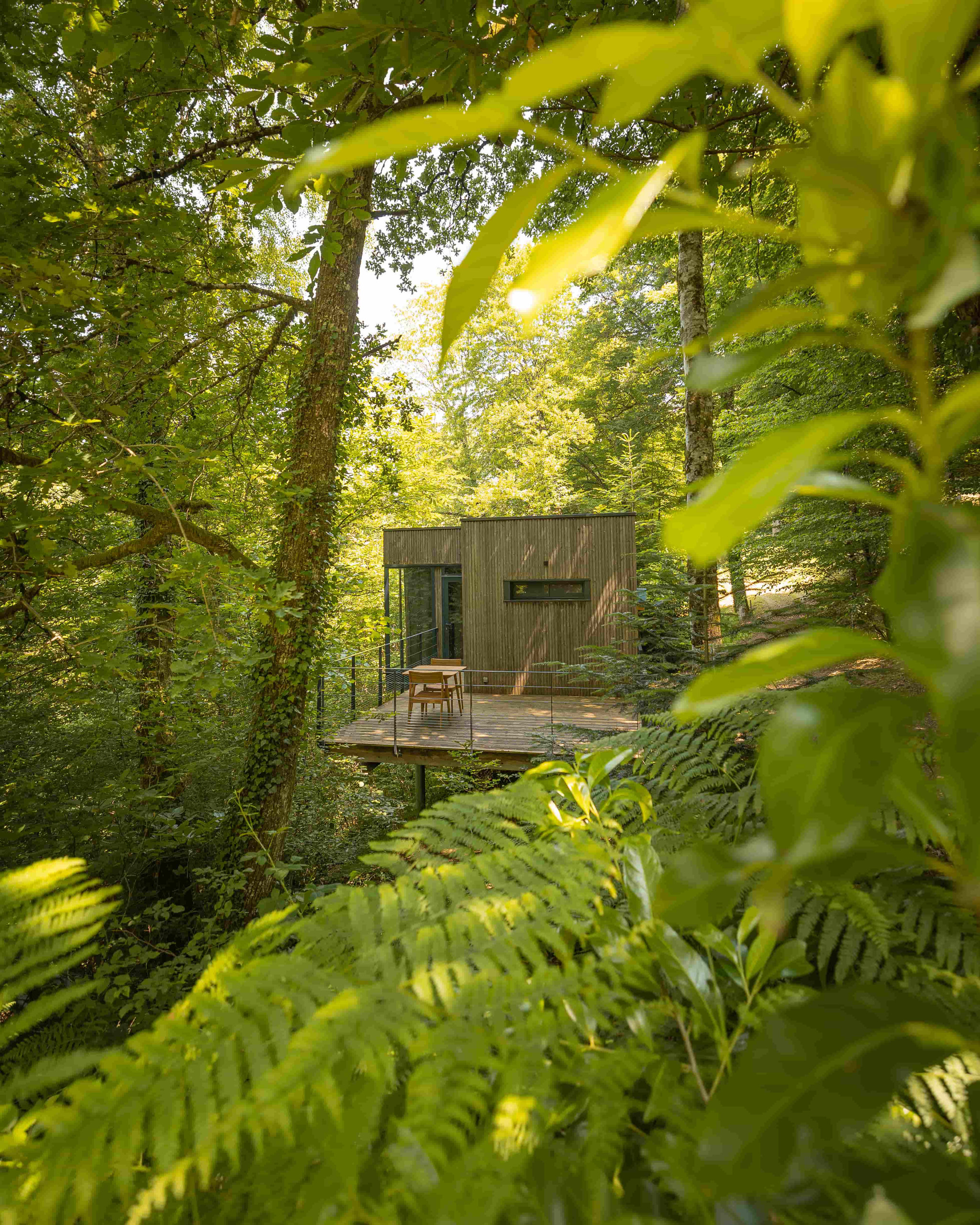 orderedImageAlt_accommodation_default