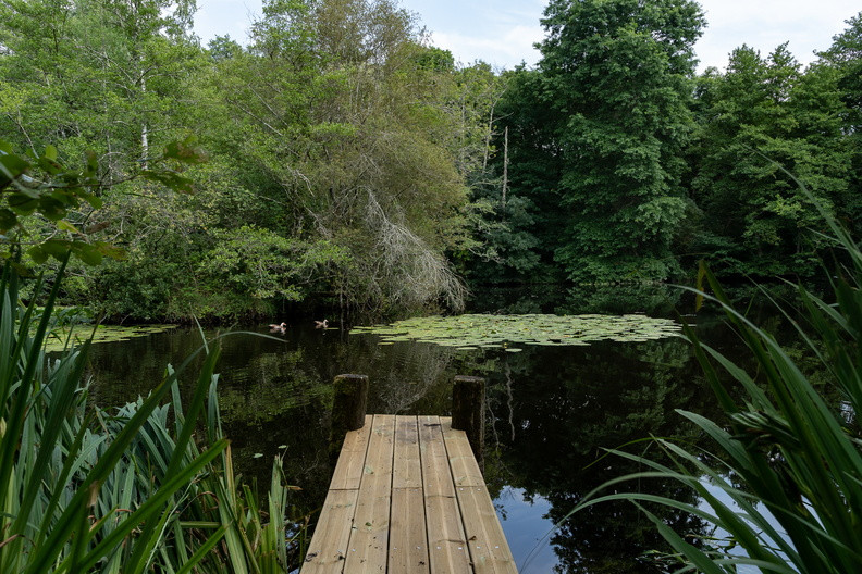 Location Gironde À la campagne