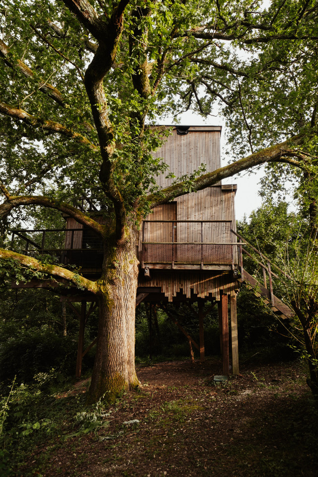orderedImageAlt_accommodation_default