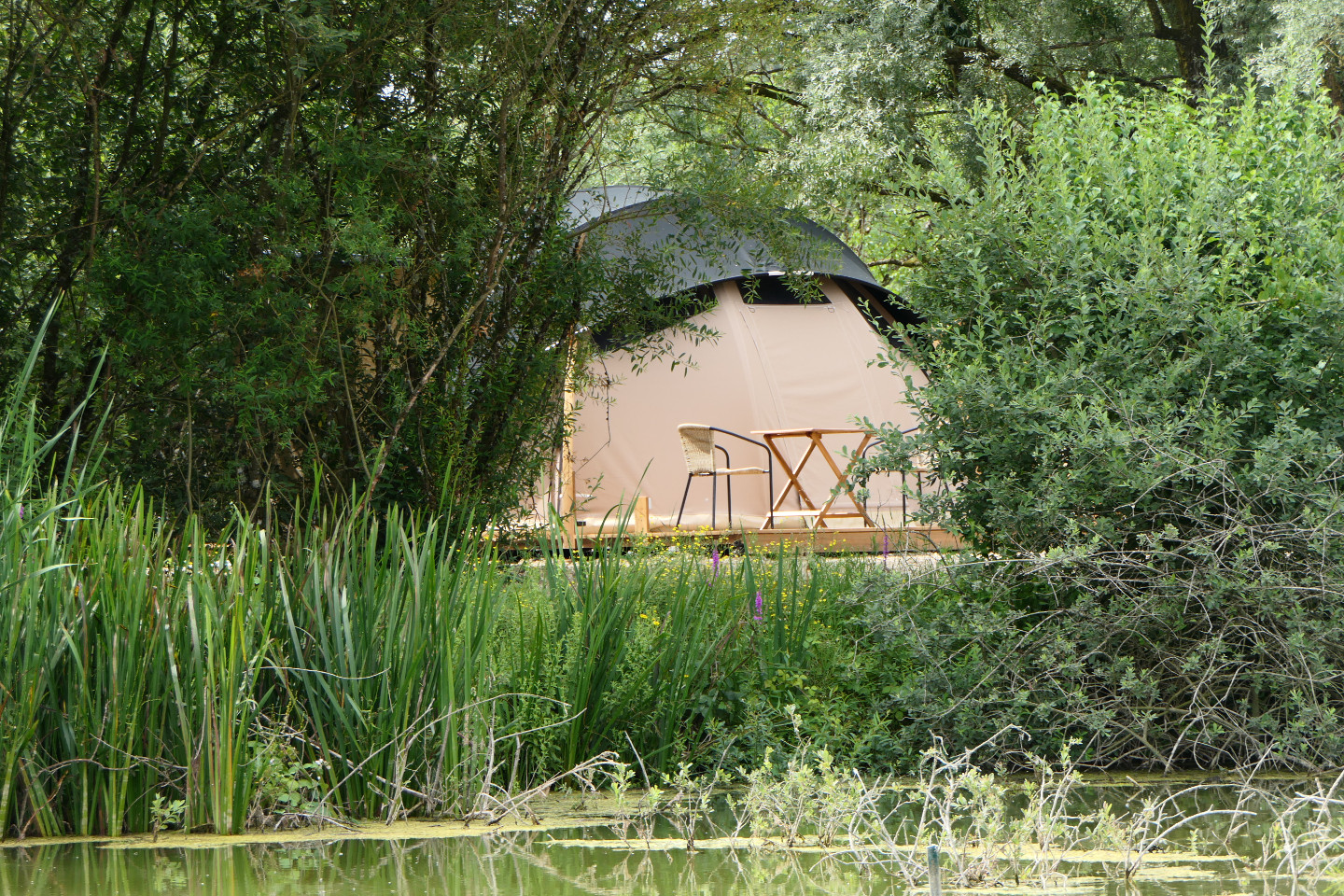 orderedImageAlt_accommodation_default