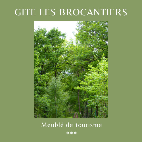 GreenGo Les Brocantiers gîte autonome au milieu de la forêt