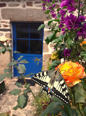 Ti Tan' Cottage