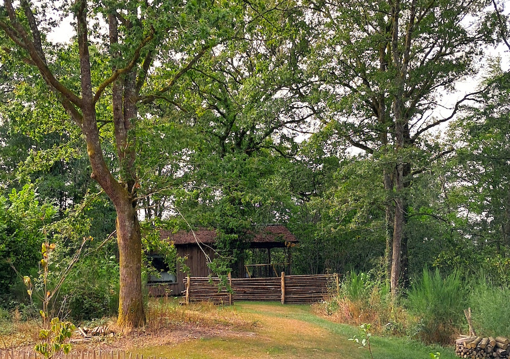 orderedImageAlt_accommodation_default