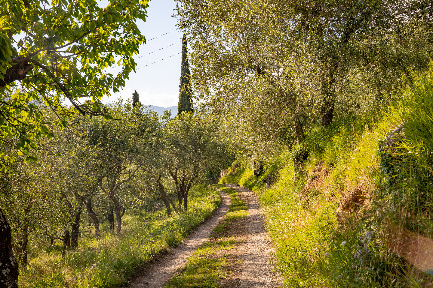 GreenGo Chambre d’hôtes Provence-Alpes-Côte d'Azur Évasion
