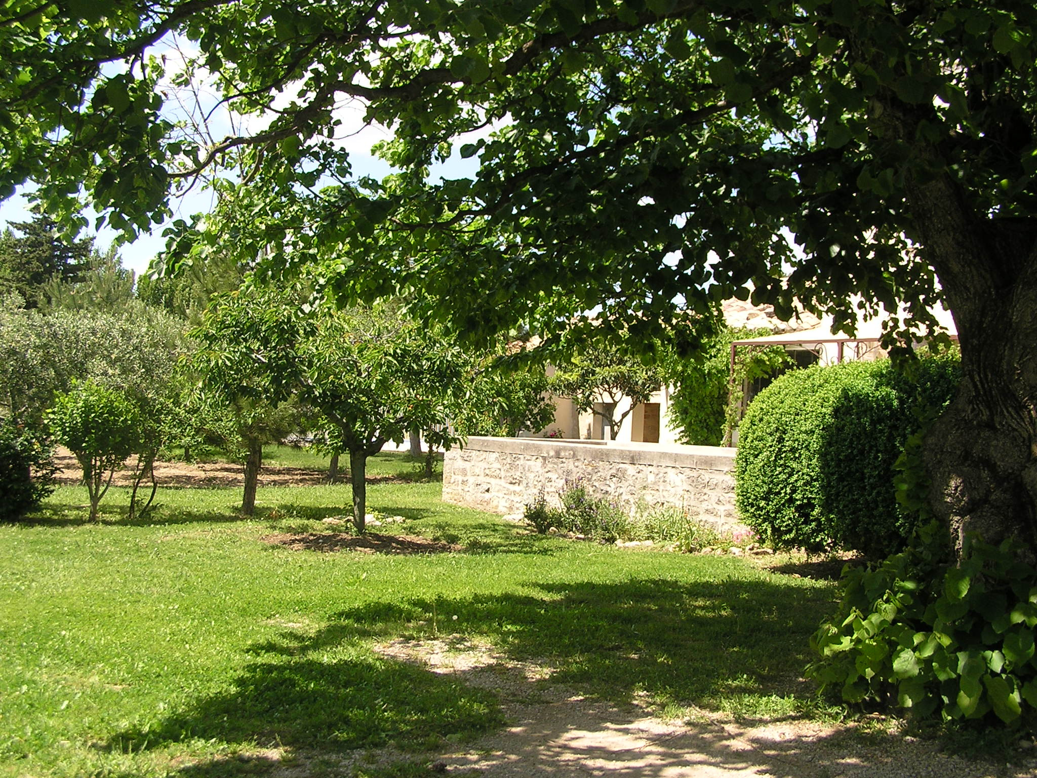 Hôte GreenGo: Mas de charme entre Avignon le Luberon et le Mont Ventoux