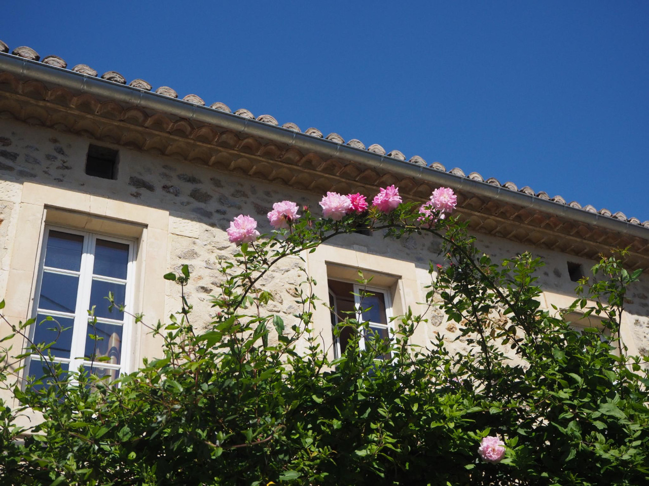 GreenGo Maison Myra