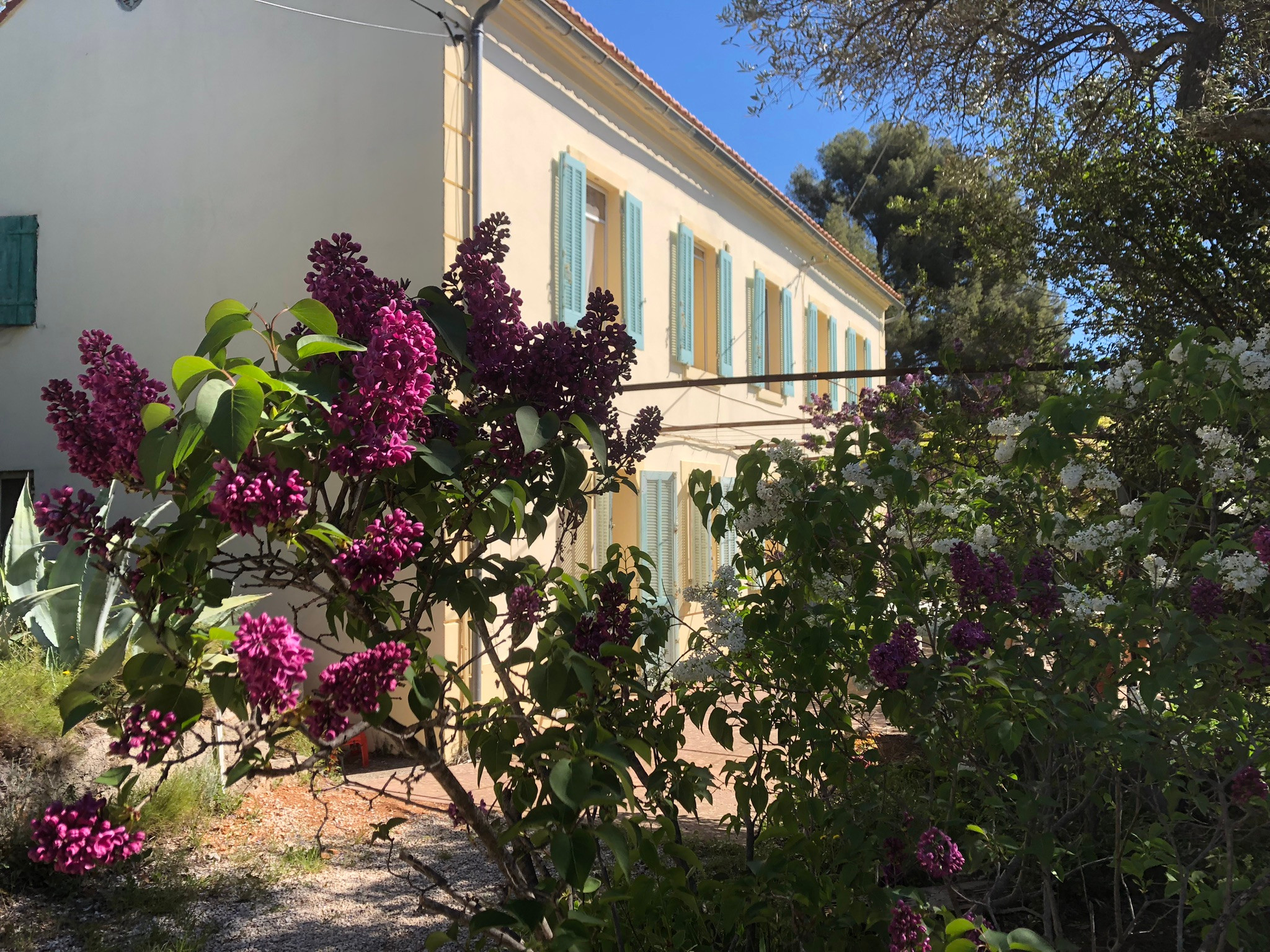 GreenGo Maison de famille provençale