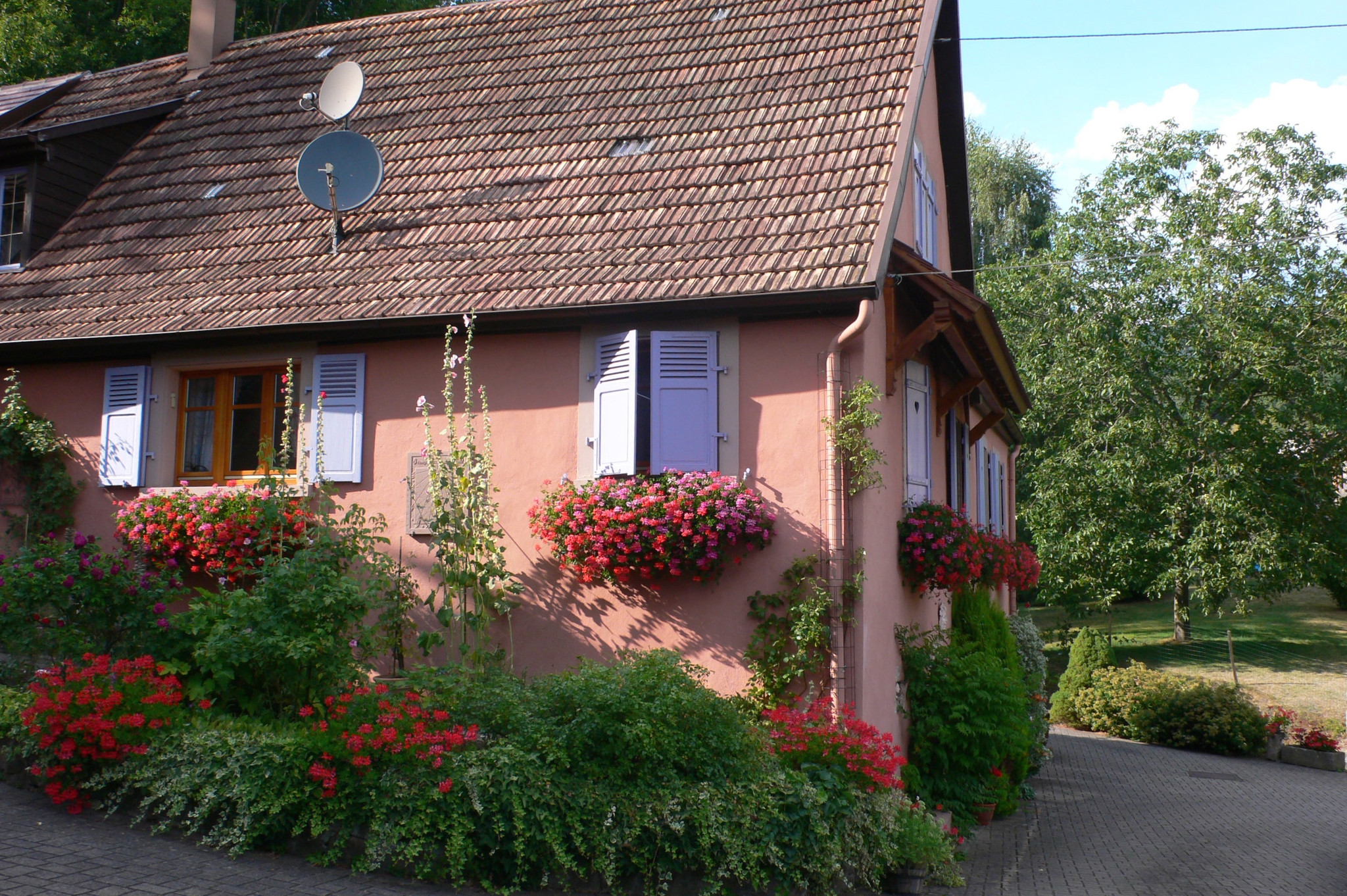 Ruisseau de l'ange