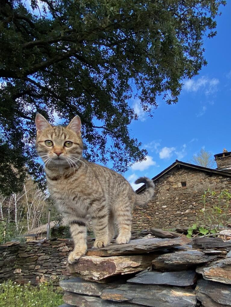 GreenGo Gîte Occitanie Évasion