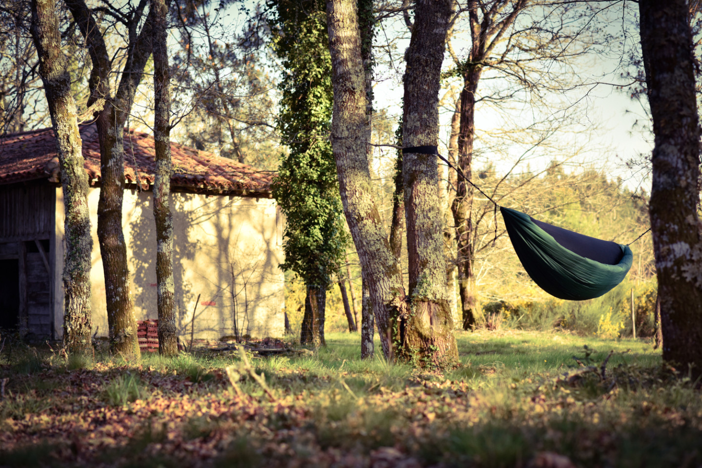 Location Landes Musique