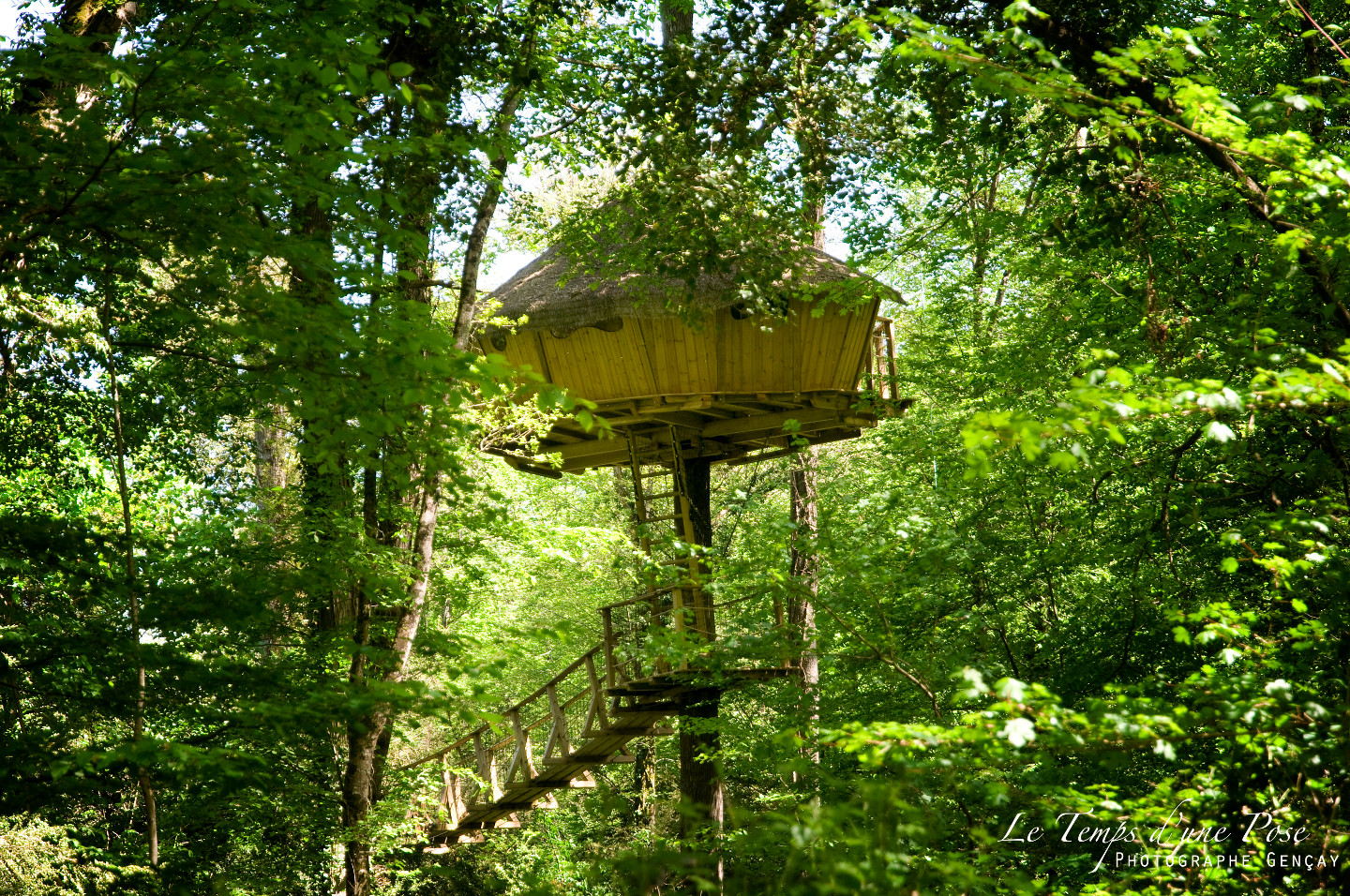 orderedImageAlt_accommodation_default