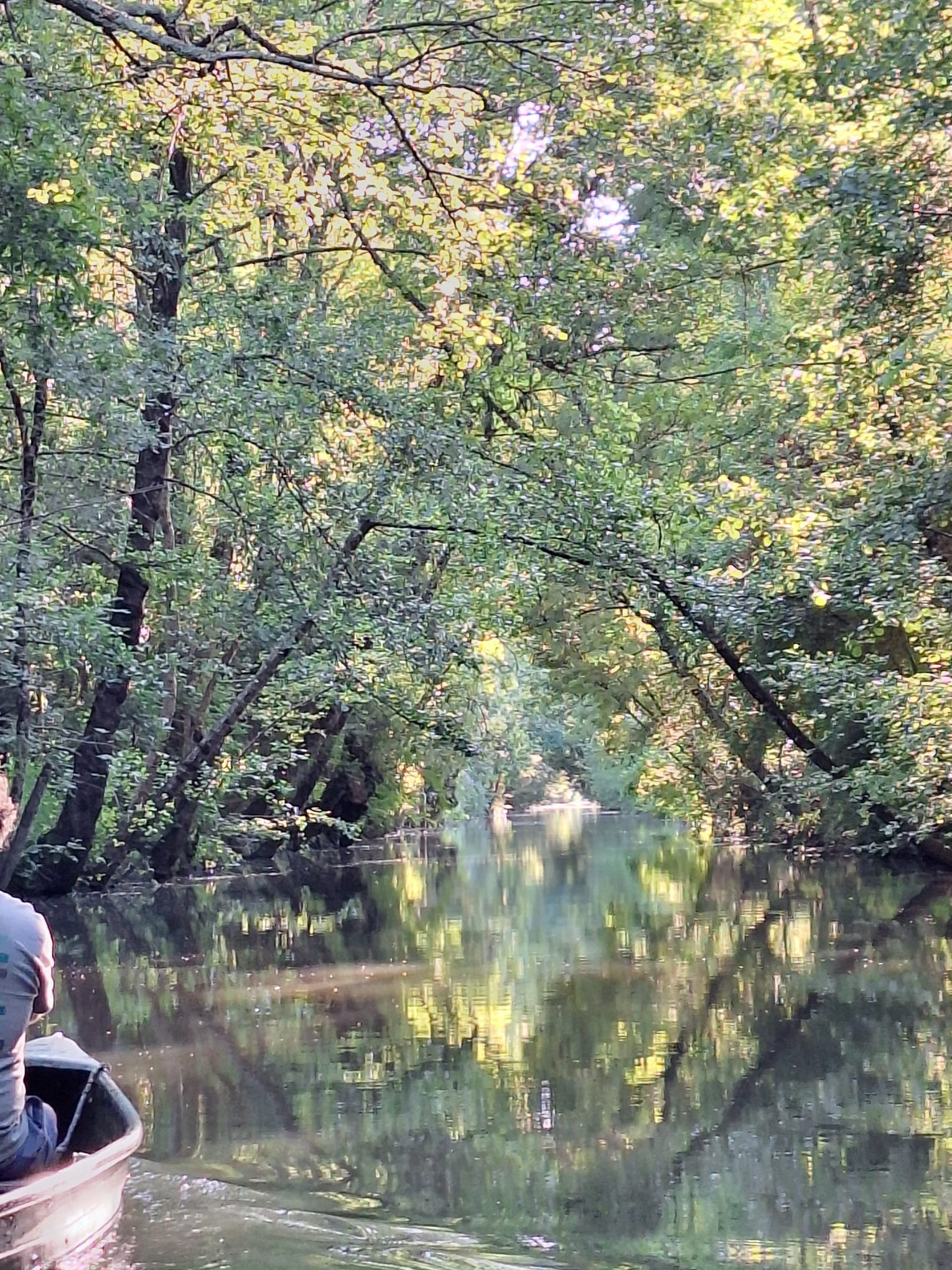 GreenGo Gîte Nouvelle-Aquitaine Évasion
