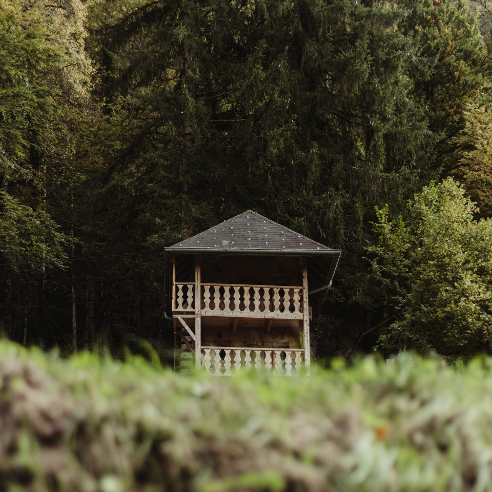GreenGo location vacances écoresponsables