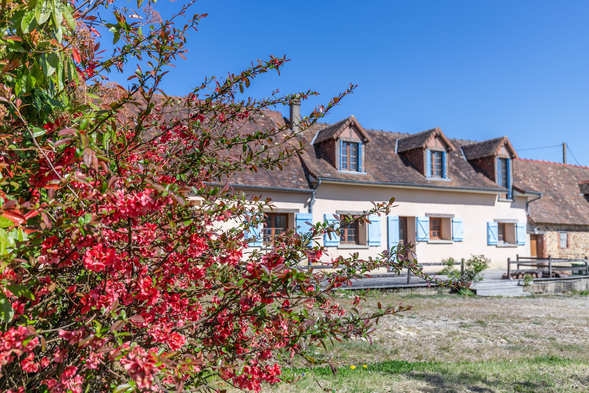 La Maison des Songes