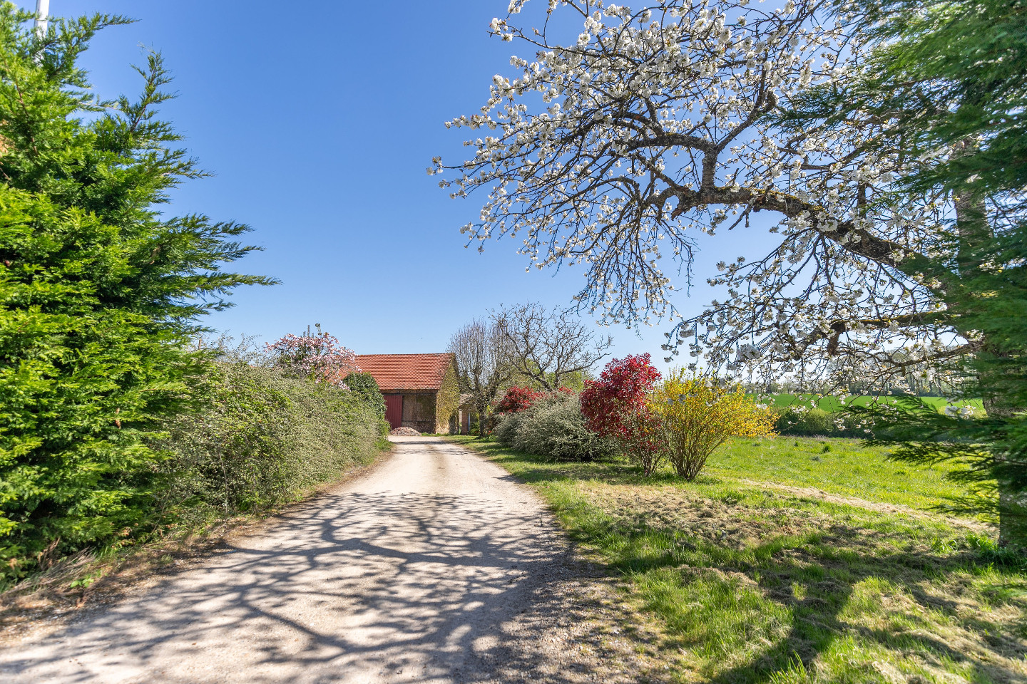 GreenGo La Maison des Songes