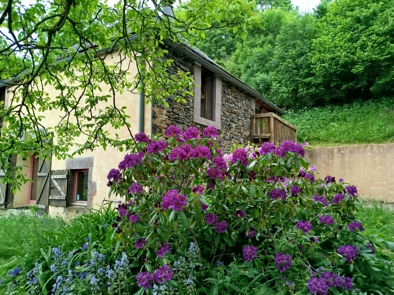 GreenGo location vacances écoresponsables