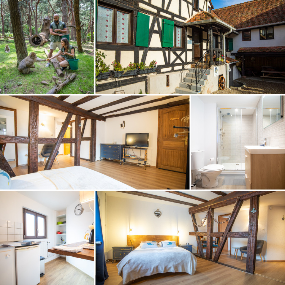 orderedImageAlt_accommodation_default