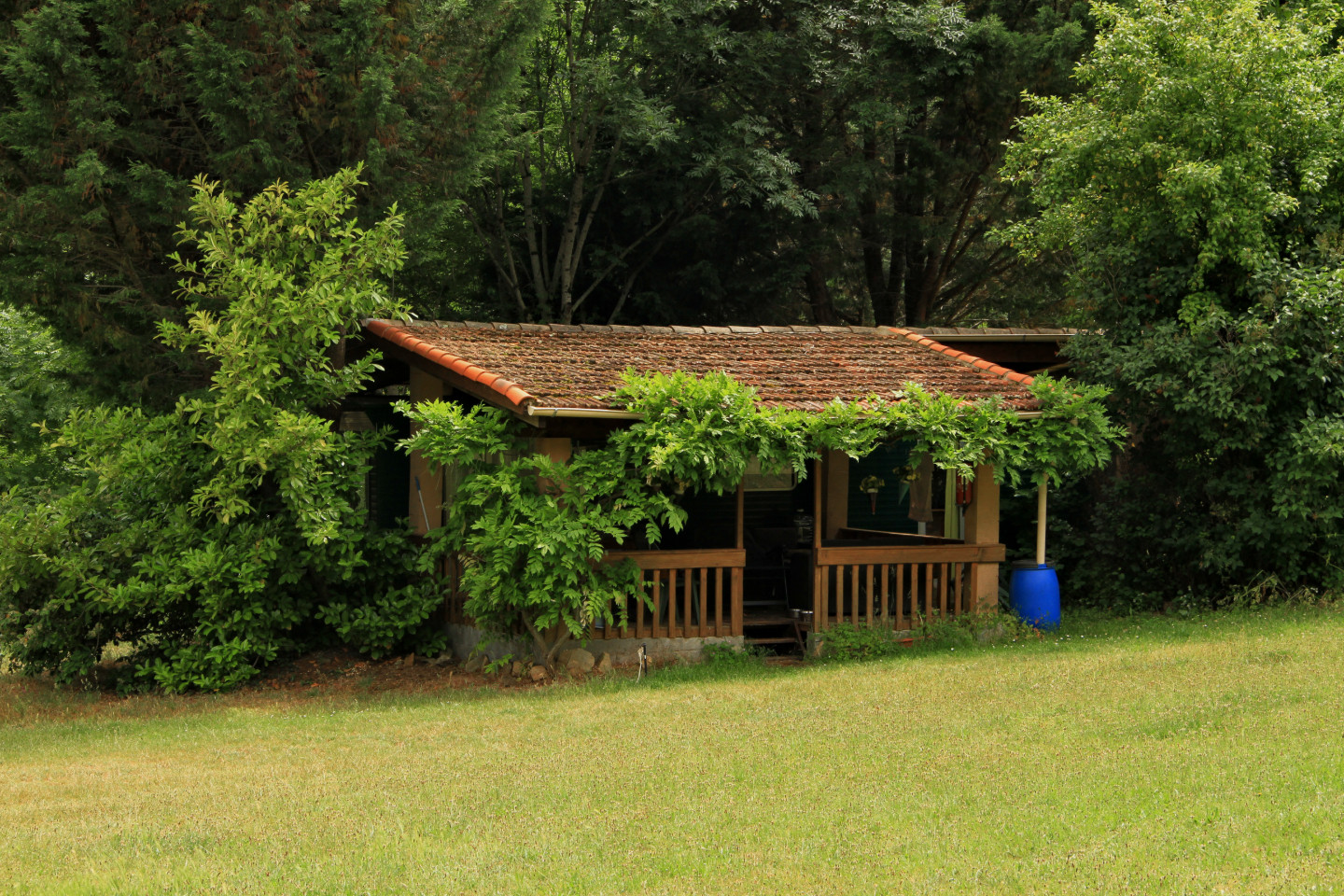 orderedImageAlt_accommodation_default