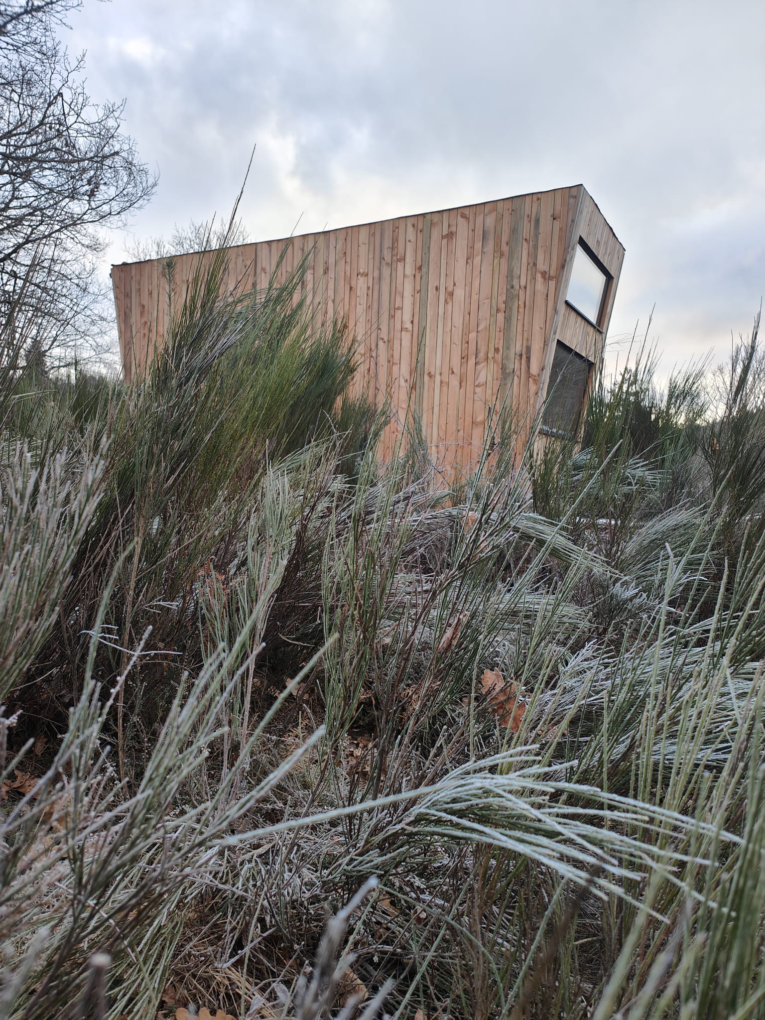GreenGo Moose tiny house Genêts