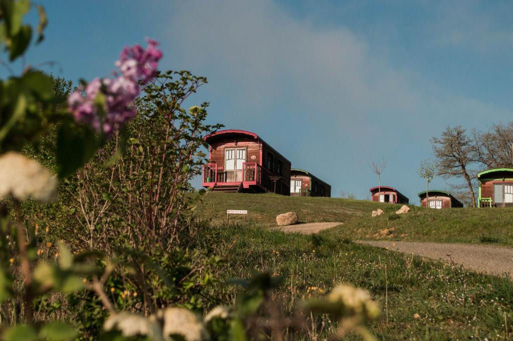orderedImageAlt_accommodation_default