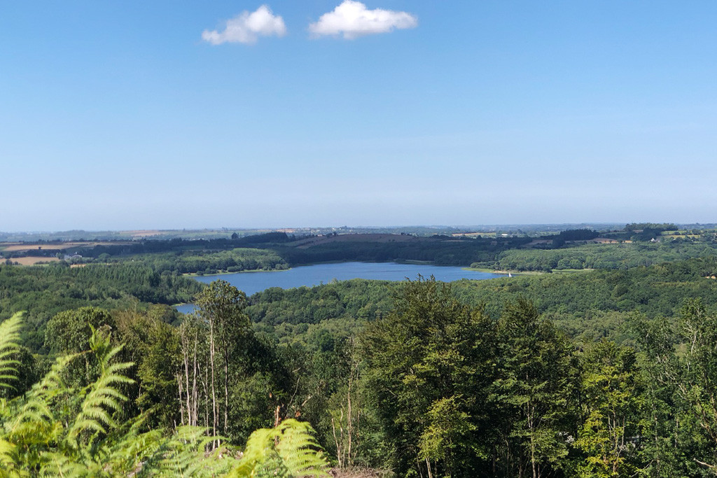 GreenGo location vacances écoresponsables