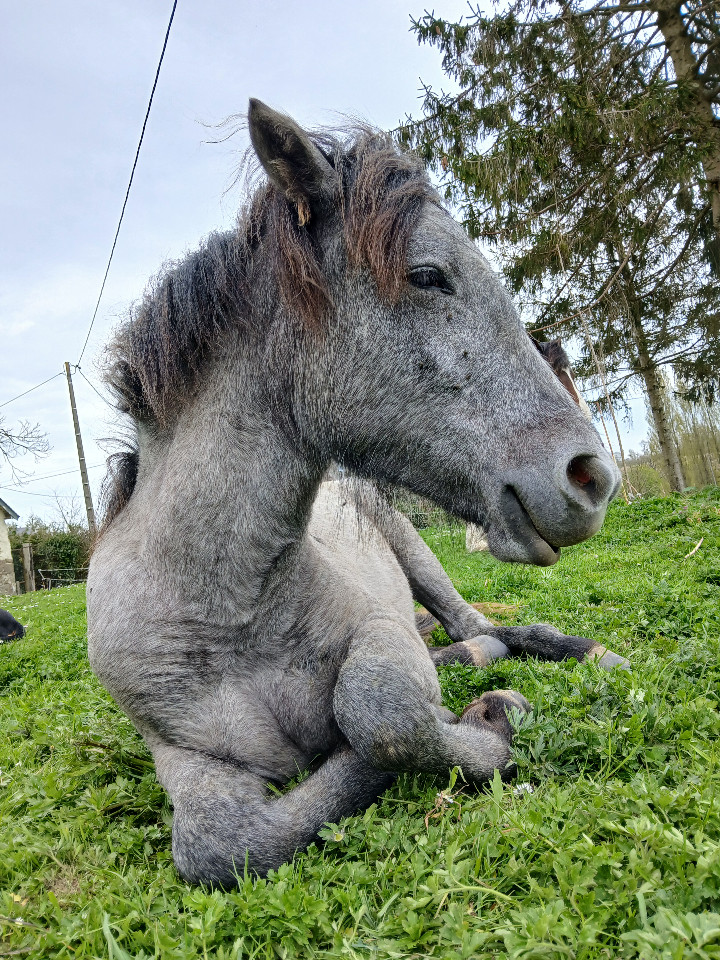 GreenGo Gîte Normandie Musique