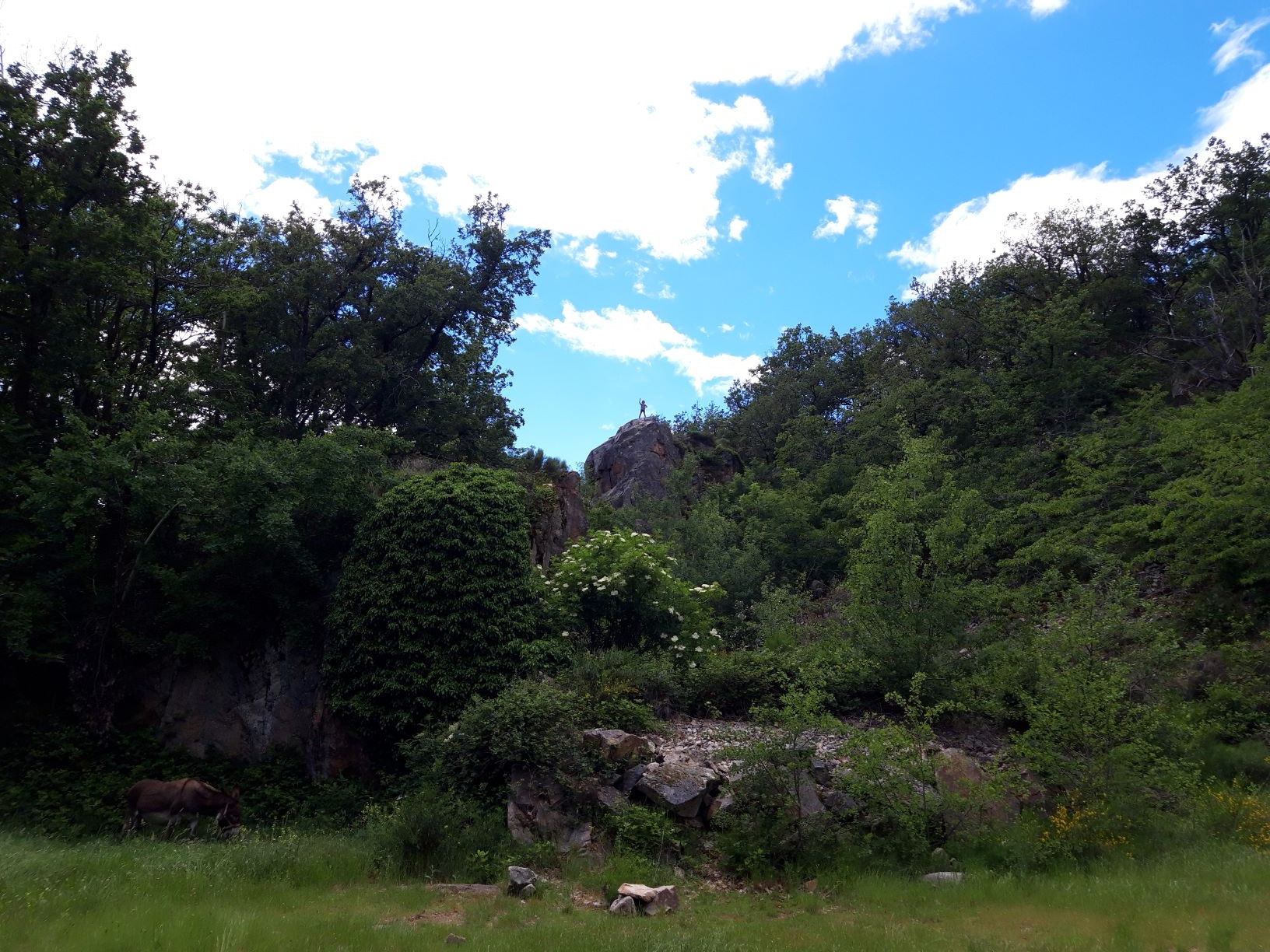 GreenGo location vacances écoresponsables