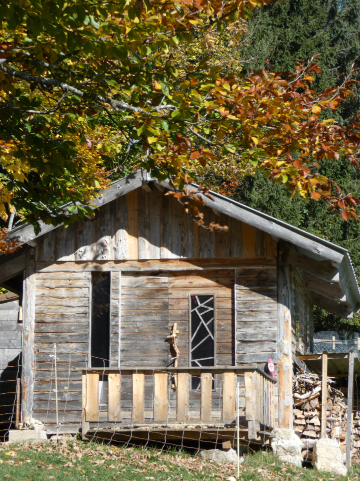 GreenGo Cabane insolite et immersive chiens de traineaux