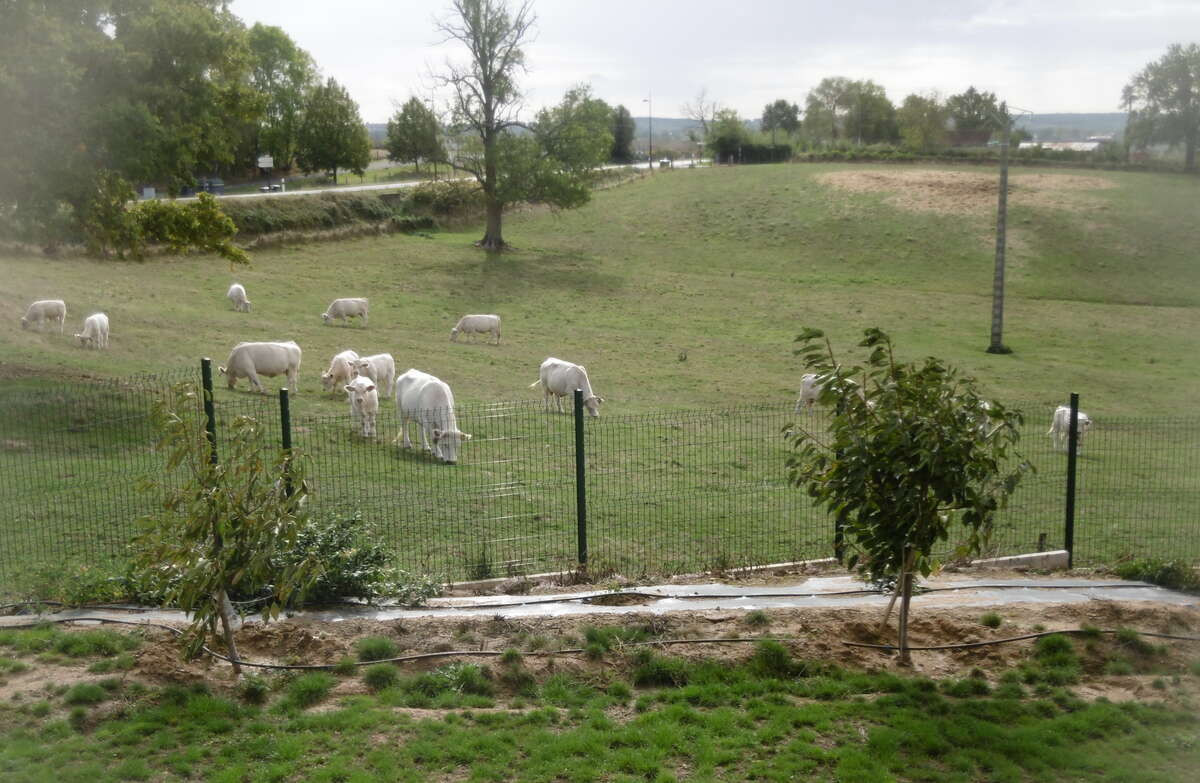GreenGo location vacances écoresponsables