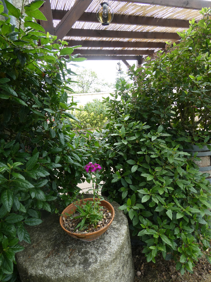 GreenGo Gîte Occitanie Évasion