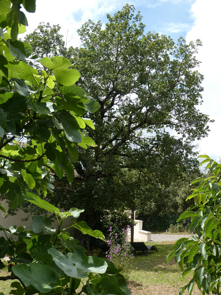 GreenGo Petit Paradis en Cabardès