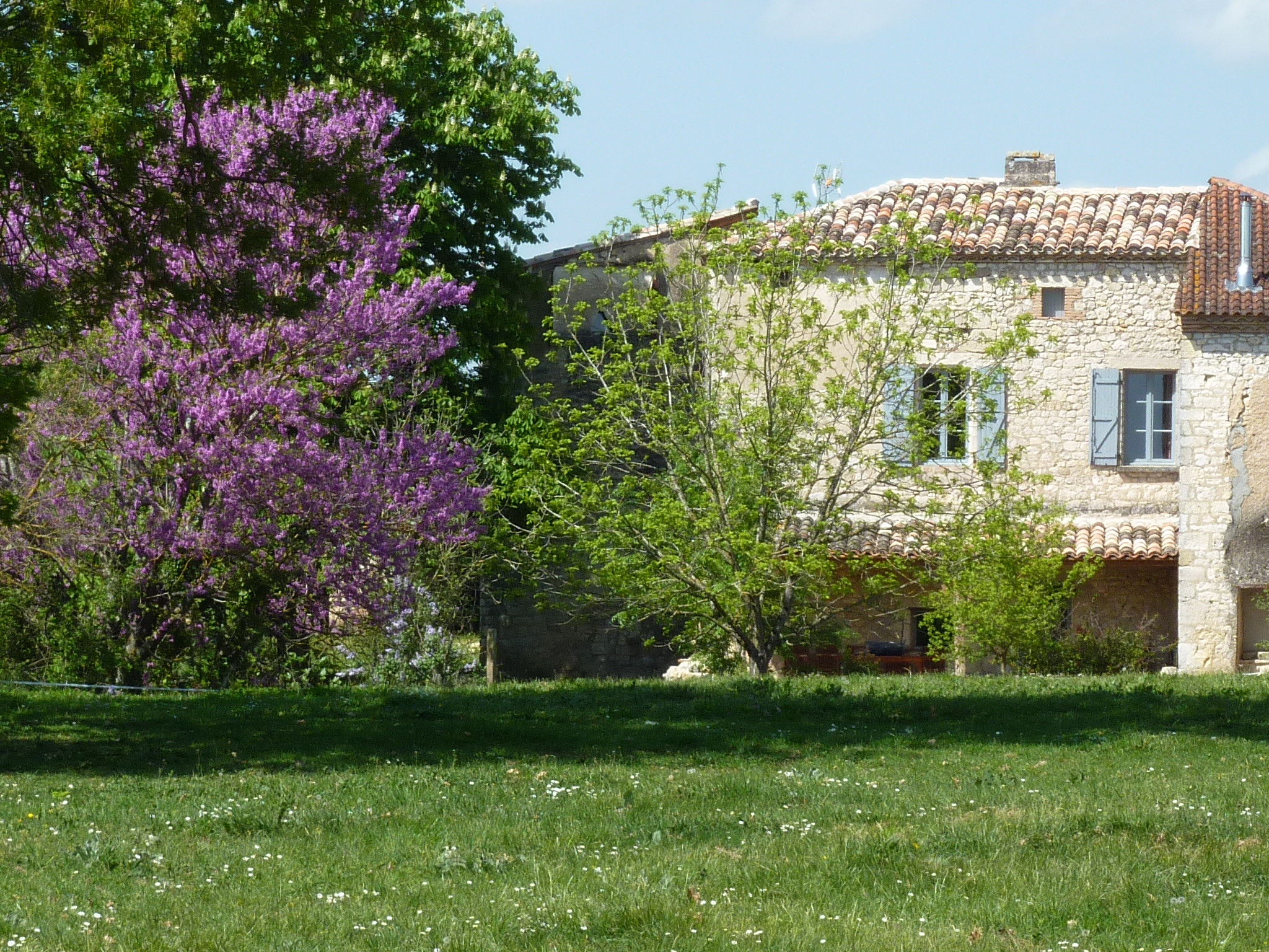 GreenGo location vacances écoresponsables