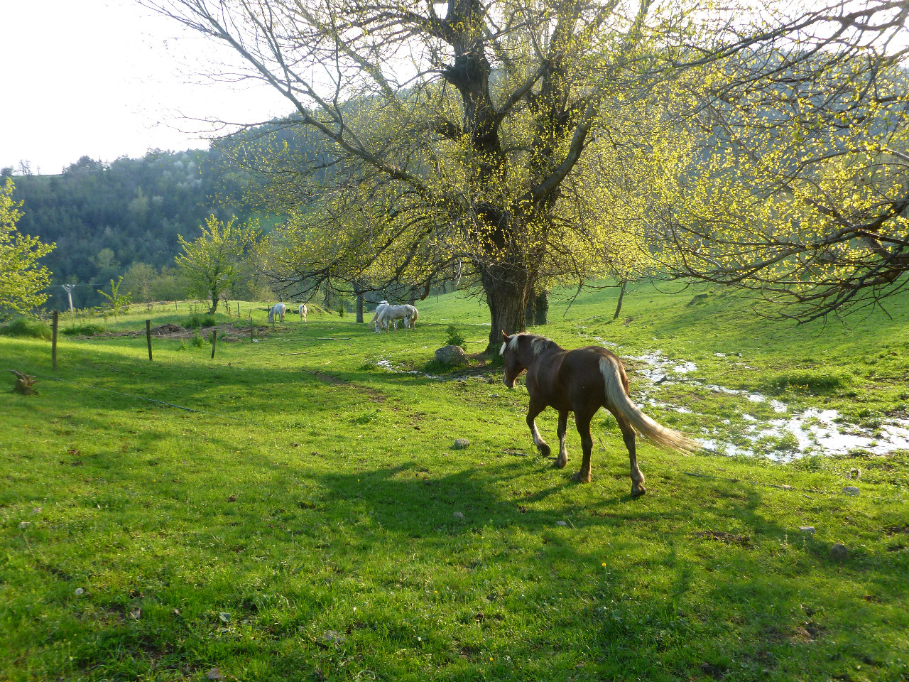 Hôte GreenGo: Gîte du Parc régional des Monts d' Ardèche 2 personnes 2 nuits au minimum