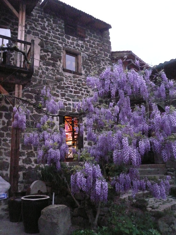 orderedImageAlt_accommodation_default