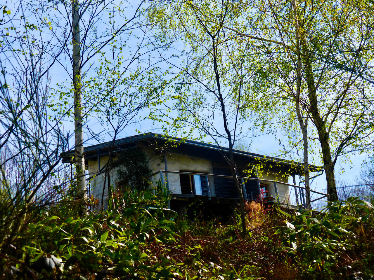 GreenGo Studio de pleine nature