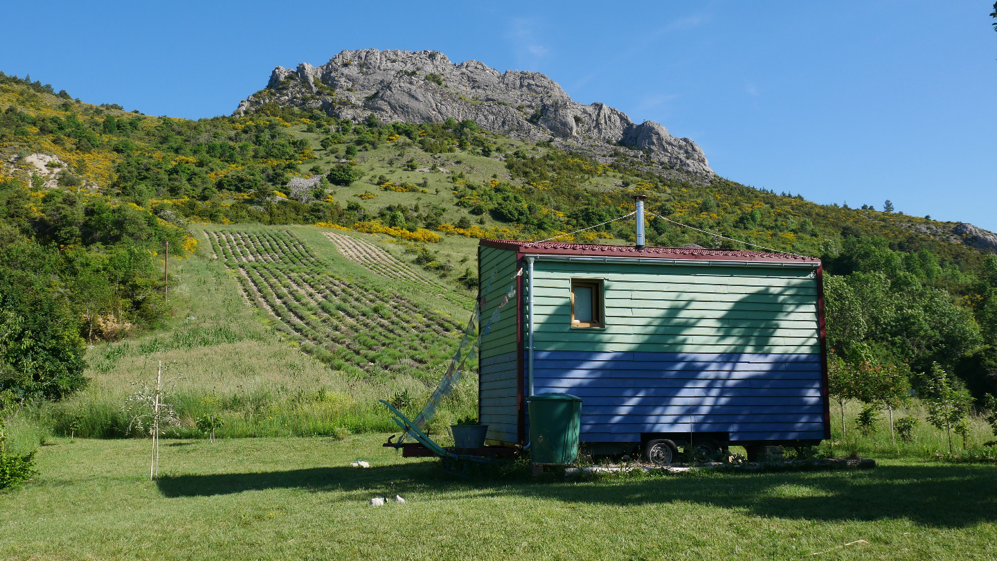 Logement GreenGo: Tiny House Bulle