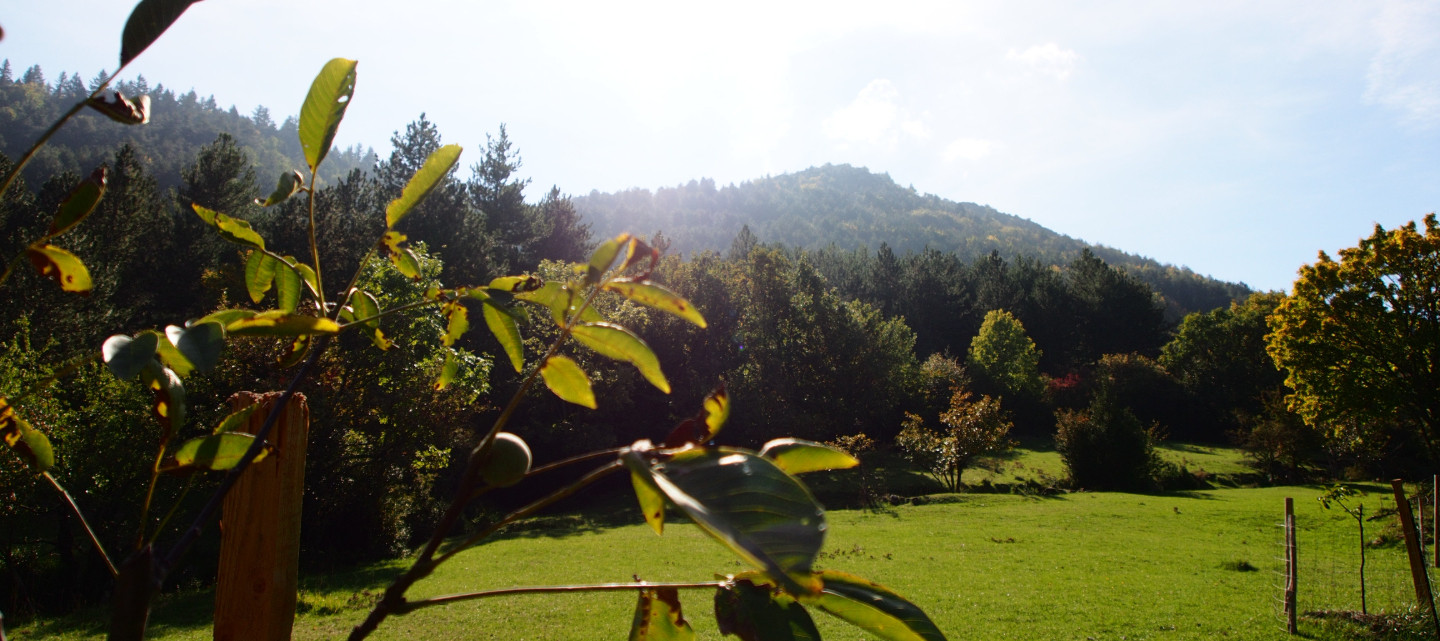GreenGo La Mouline