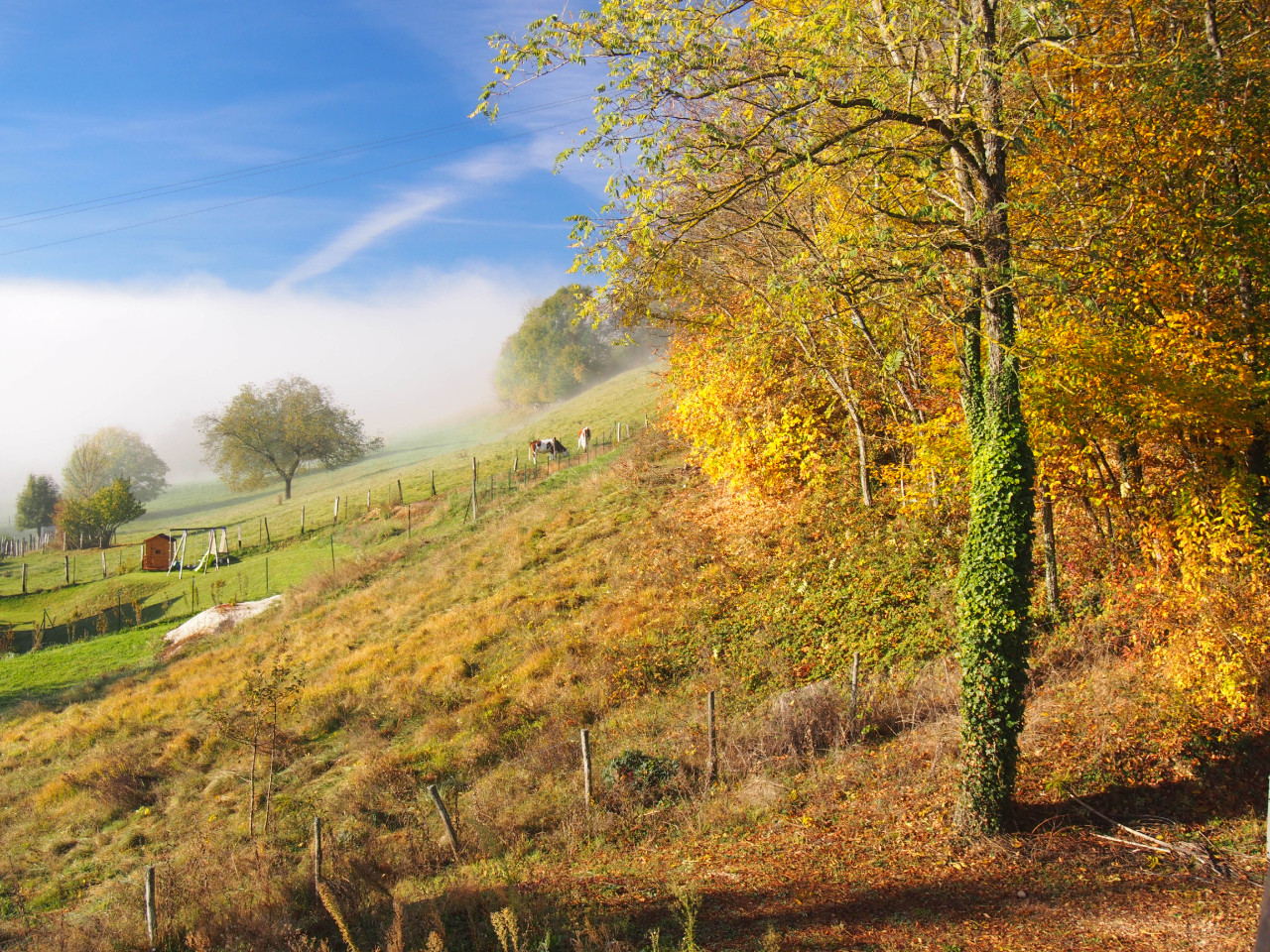 GreenGo Gîte Auvergne-Rhône-Alpes Évasion